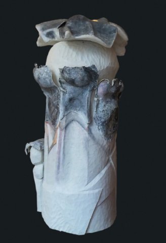 L'esprit des bois au clair de lune